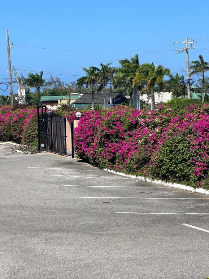 Remarkable 1-Bed Apartment In Montego Bay Exterior photo